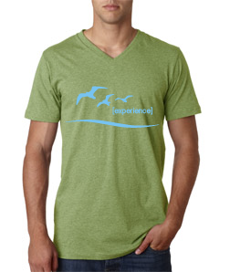 Mens Experience Summer Vneck T-shirt